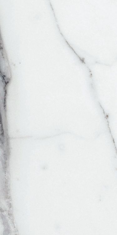 Origines Argent Glossy 12 x 24
